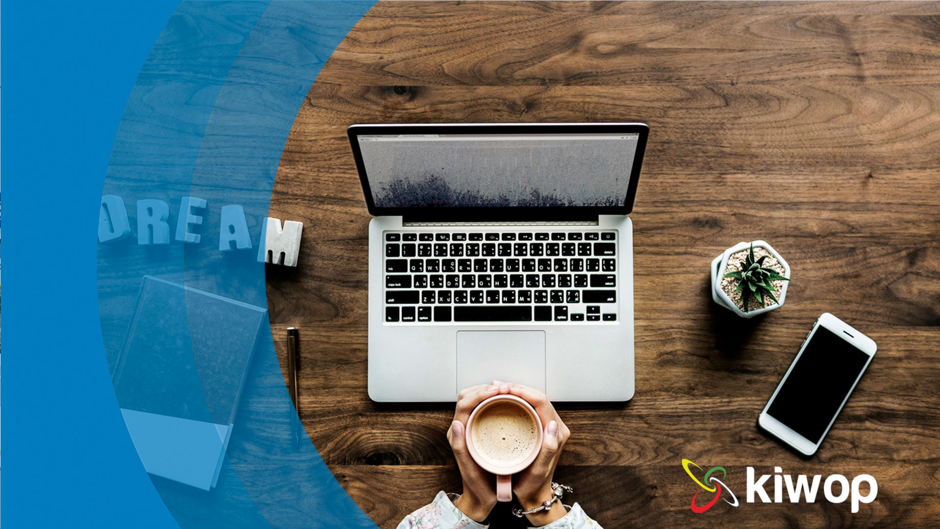 agencia desarrollo web vs freelance