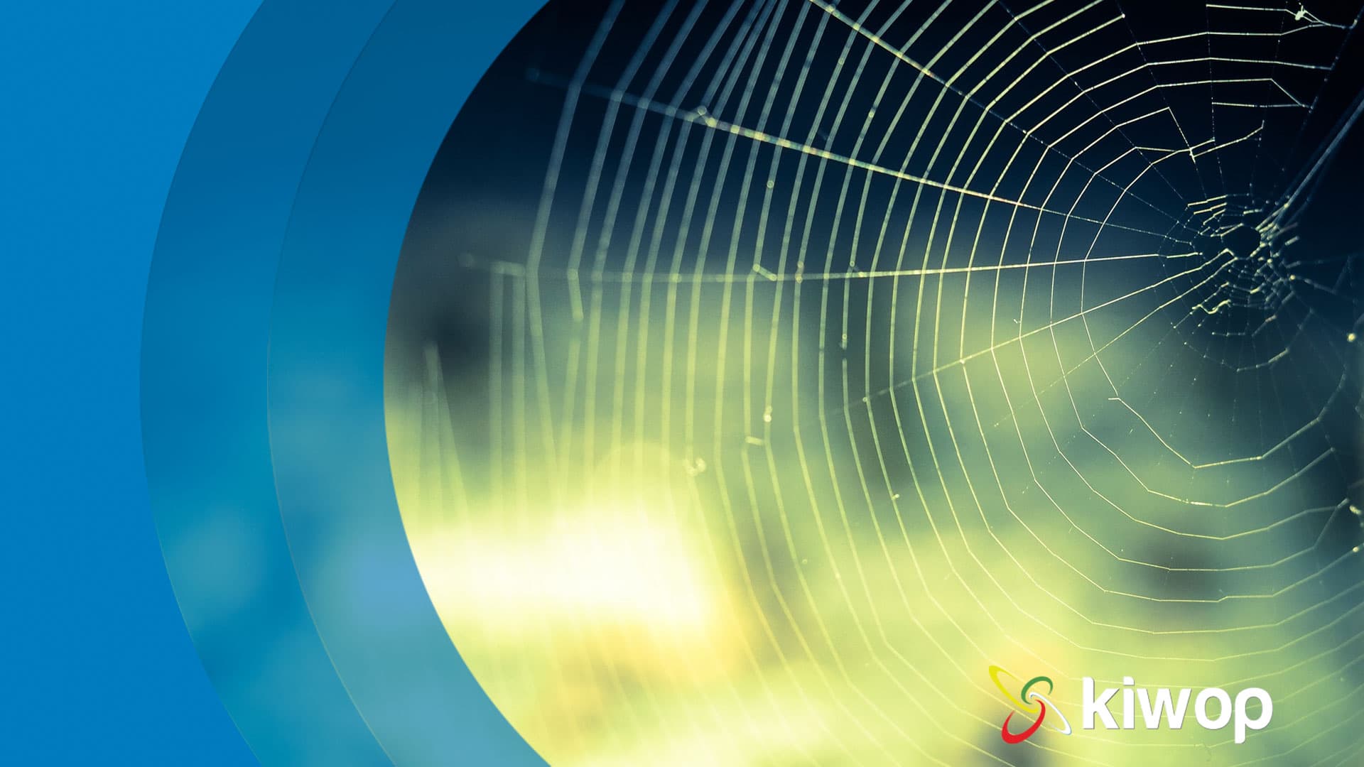 presupuesto desarrollo web